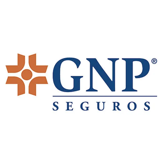 GNP